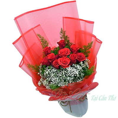 Bó 10 hồng đỏ Hơi Ấm